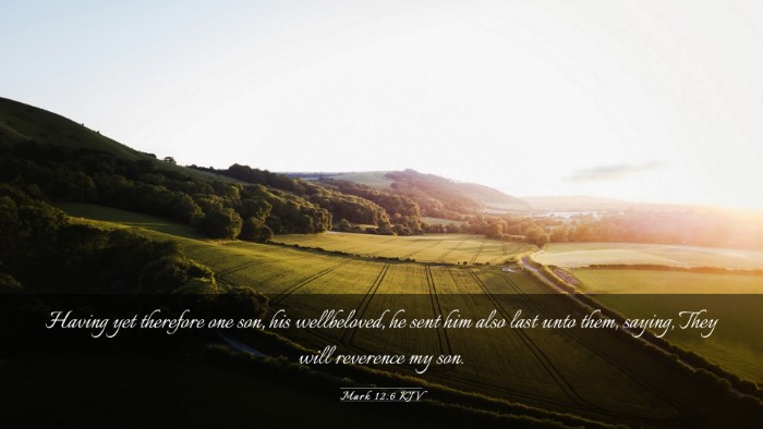 Picture 03 - Mark 12:6 KJV Desktop Wallpaper - Having yet therefore one son, his wellbeloved, he - Desktop Bible Verse Wallpaper