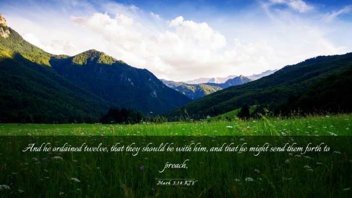 Picture 03 - Mark 3:14 KJV Desktop Wallpaper - And he ordained twelve, that they should be with - Desktop Bible Verse Wallpaper