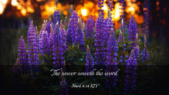 Picture 03 - Mark 4:14 KJV Desktop Wallpaper - The sower soweth the - Desktop Bible Verse Wallpaper