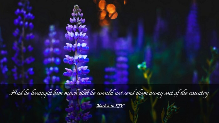Picture 03 - Mark 5:10 KJV Desktop Wallpaper - And he besought him much that he would not send - Desktop Bible Verse Wallpaper