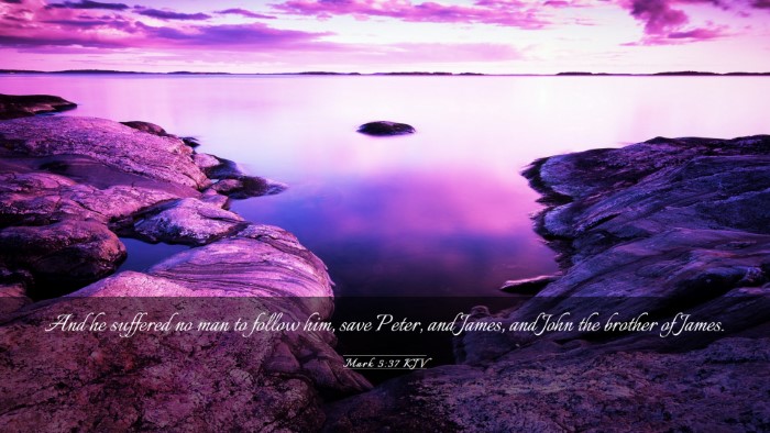 Picture 03 - Mark 5:37 KJV Desktop Wallpaper - And he suffered no man to follow him, save Peter, - Desktop Bible Verse Wallpaper