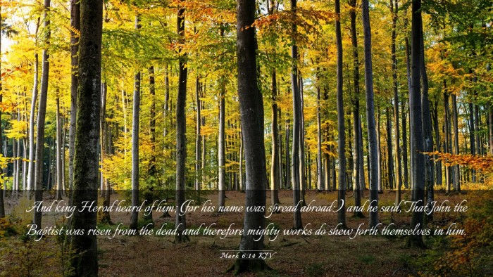 Picture 03 - Mark 6:14 KJV Desktop Wallpaper - And king Herod heard of him; (for his name was - Desktop Bible Verse Wallpaper