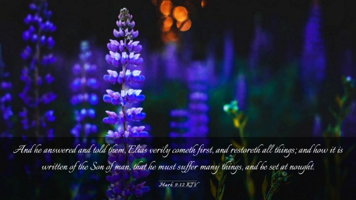 Picture 03 - Mark 9:12 KJV Desktop Wallpaper - And he answered and told them, Elias verily - Desktop Bible Verse Wallpaper