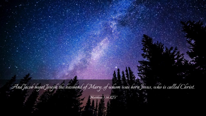 Picture 03 - Matthew 1:16 KJV Desktop Wallpaper - And Jacob begat Joseph the husband of Mary, of - Desktop Bible Verse Wallpaper