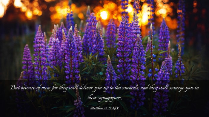 Picture 03 - Matthew 10:17 KJV Desktop Wallpaper - But beware of men: for they will deliver you up - Desktop Bible Verse Wallpaper