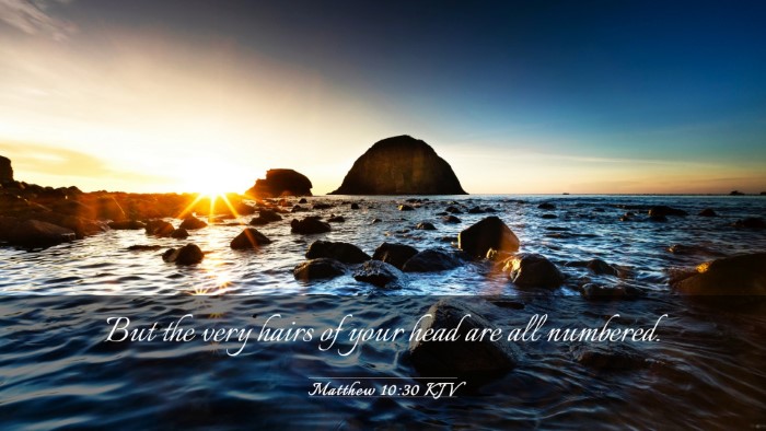 Picture 03 - Matthew 10:30 KJV Desktop Wallpaper - But the very hairs of your head are all - Desktop Bible Verse Wallpaper