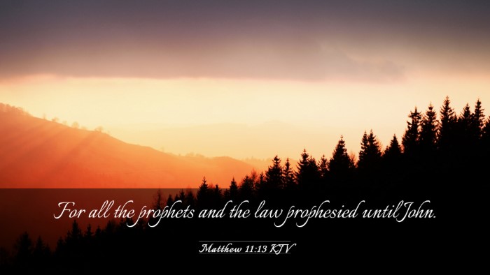Picture 03 - Matthew 11:13 KJV Desktop Wallpaper - For all the prophets and the law prophesied until - Desktop Bible Verse Wallpaper