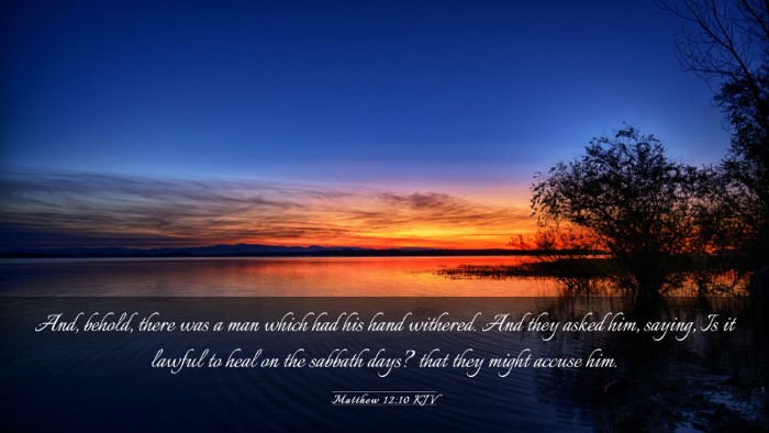 Picture 03 - Matthew 12:10 KJV Desktop Wallpaper - And, behold, there was a man which had his hand - Desktop Bible Verse Wallpaper