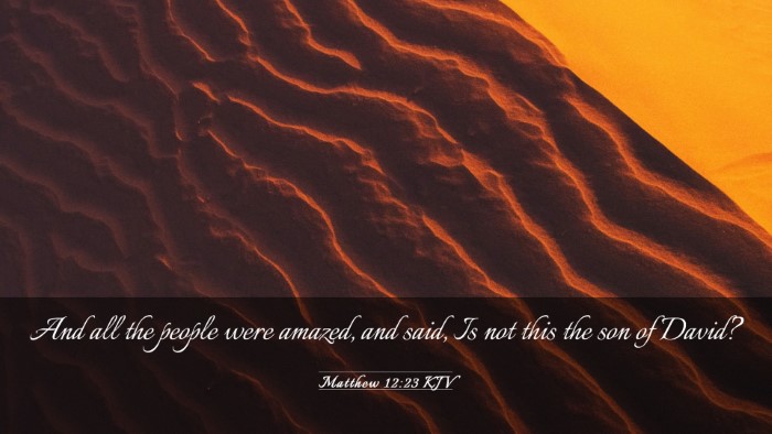 Picture 03 - Matthew 12:23 KJV Desktop Wallpaper - And all the people were amazed, and said, Is not - Desktop Bible Verse Wallpaper