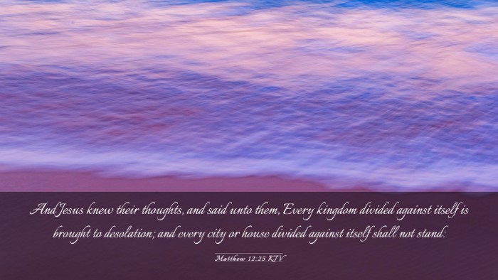 Picture 03 - Matthew 12:25 KJV Desktop Wallpaper - And Jesus knew their thoughts, and said unto - Desktop Bible Verse Wallpaper