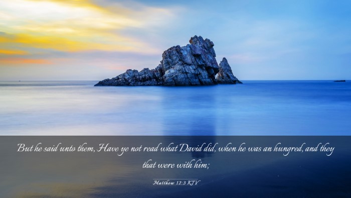 Picture 03 - Matthew 12:3 KJV Desktop Wallpaper - But he said unto them, Have ye not read what - Desktop Bible Verse Wallpaper