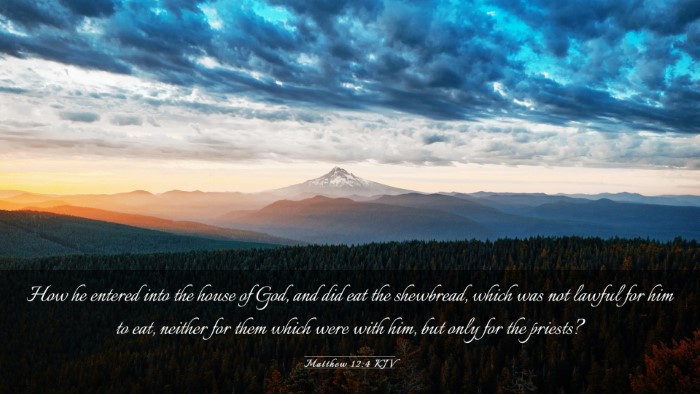 Picture 03 - Matthew 12:4 KJV Desktop Wallpaper - How he entered into the house of God, and did eat - Desktop Bible Verse Wallpaper