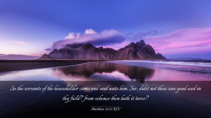 Picture 03 - Matthew 13:27 KJV Desktop Wallpaper - So the servants of the householder came and said - Desktop Bible Verse Wallpaper