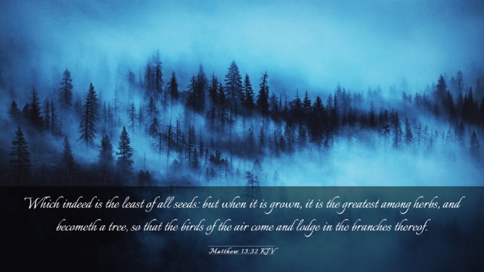 Picture 03 - Matthew 13:32 KJV Desktop Wallpaper - Which indeed is the least of all seeds: but when - Desktop Bible Verse Wallpaper