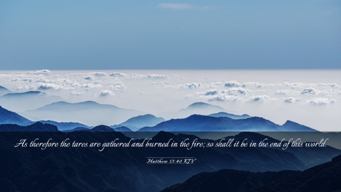 Picture 03 - Matthew 13:40 KJV Desktop Wallpaper - As therefore the tares are gathered and burned in - Desktop Bible Verse Wallpaper