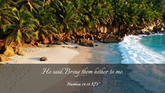 Picture 03 - Matthew 14:18 KJV Desktop Wallpaper - He said, Bring them hither to - Desktop Bible Verse Wallpaper
