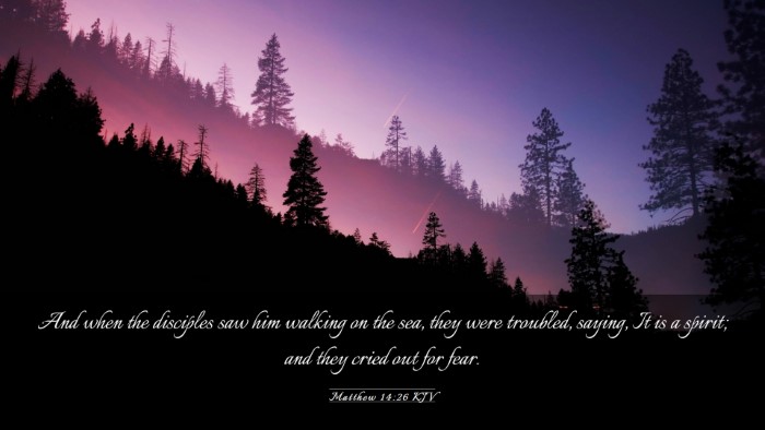 Picture 03 - Matthew 14:26 KJV Desktop Wallpaper - And when the disciples saw him walking on the - Desktop Bible Verse Wallpaper