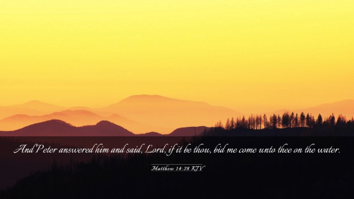 Picture 03 - Matthew 14:28 KJV Desktop Wallpaper - And Peter answered him and said, Lord, if it be - Desktop Bible Verse Wallpaper