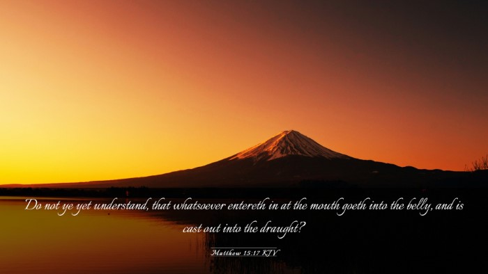 Picture 03 - Matthew 15:17 KJV Desktop Wallpaper - Do not ye yet understand, that whatsoever - Desktop Bible Verse Wallpaper