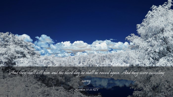 Picture 03 - Matthew 17:23 KJV Desktop Wallpaper - And they shall kill him, and the third day he - Desktop Bible Verse Wallpaper