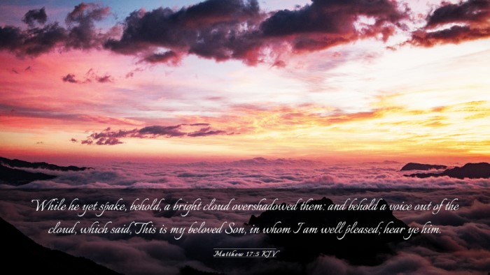 Picture 03 - Matthew 17:5 KJV Desktop Wallpaper - While he yet spake, behold, a bright cloud - Desktop Bible Verse Wallpaper