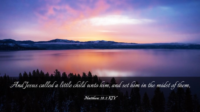 Picture 03 - Matthew 18:2 KJV Desktop Wallpaper - And Jesus called a little child unto him, and set - Desktop Bible Verse Wallpaper