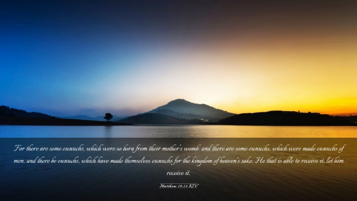 Picture 03 - Matthew 19:12 KJV Desktop Wallpaper - For there are some eunuchs, which were so born - Desktop Bible Verse Wallpaper