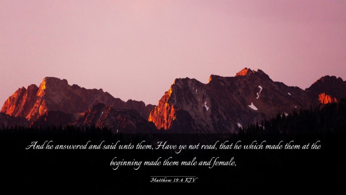Picture 03 - Matthew 19:4 KJV Desktop Wallpaper - And he answered and said unto them, Have ye not - Desktop Bible Verse Wallpaper