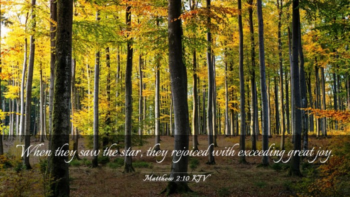 Picture 03 - Matthew 2:10 KJV Desktop Wallpaper - When they saw the star, they rejoiced with - Desktop Bible Verse Wallpaper