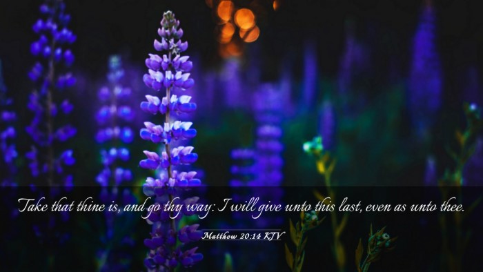 Picture 03 - Matthew 20:14 KJV Desktop Wallpaper - Take that thine is, and go thy way: I will give - Desktop Bible Verse Wallpaper