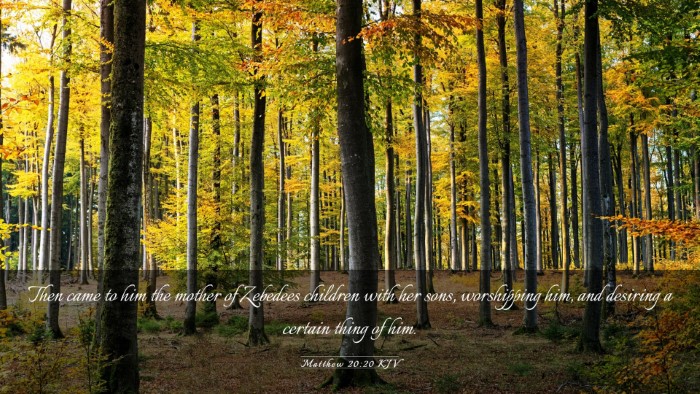 Picture 03 - Matthew 20:20 KJV Desktop Wallpaper - Then came to him the mother of Zebedees children - Desktop Bible Verse Wallpaper
