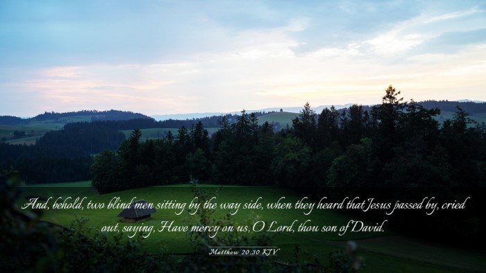 Picture 03 - Matthew 20:30 KJV Desktop Wallpaper - And, behold, two blind men sitting by the way - Desktop Bible Verse Wallpaper