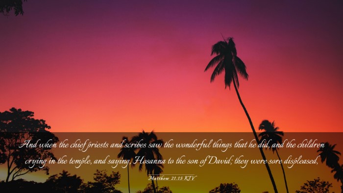 Picture 03 - Matthew 21:15 KJV Desktop Wallpaper - And when the chief priests and scribes saw the - Desktop Bible Verse Wallpaper
