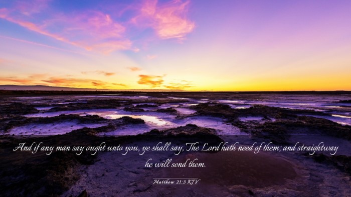 Picture 03 - Matthew 21:3 KJV Desktop Wallpaper - And if any man say ought unto you, ye shall say, - Desktop Bible Verse Wallpaper