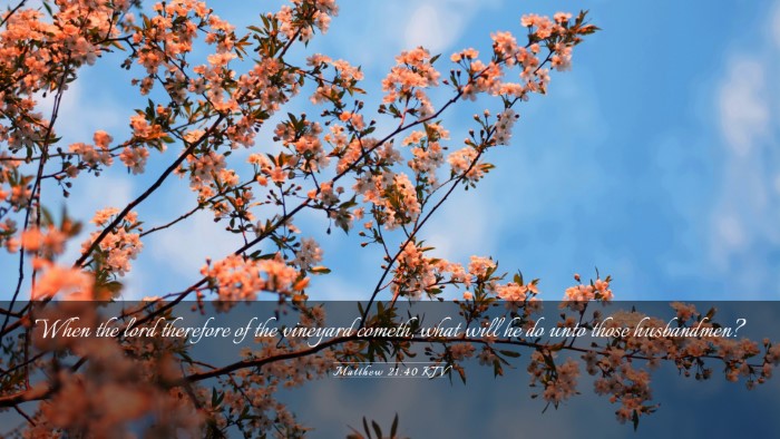 Picture 03 - Matthew 21:40 KJV Desktop Wallpaper - When the lord therefore of the vineyard cometh, - Desktop Bible Verse Wallpaper