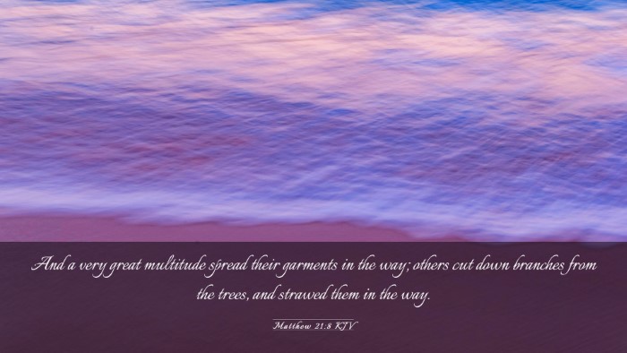 Picture 03 - Matthew 21:8 KJV Desktop Wallpaper - And a very great multitude spread their garments - Desktop Bible Verse Wallpaper