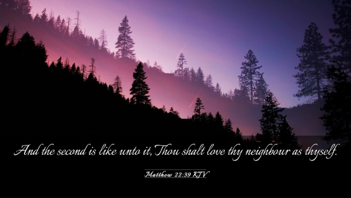 Picture 03 - Matthew 22:39 KJV Desktop Wallpaper - And the second is like unto it, Thou shalt love - Desktop Bible Verse Wallpaper