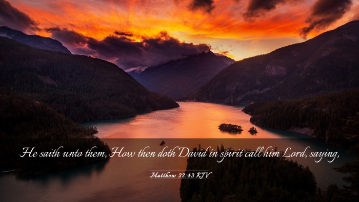 Picture 03 - Matthew 22:43 KJV Desktop Wallpaper - He saith unto them, How then doth David in spirit - Desktop Bible Verse Wallpaper