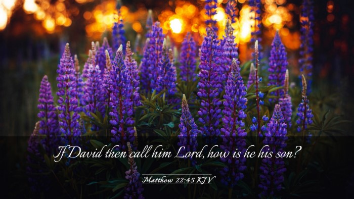 Picture 03 - Matthew 22:45 KJV Desktop Wallpaper - If David then call him Lord, how is he his - Desktop Bible Verse Wallpaper