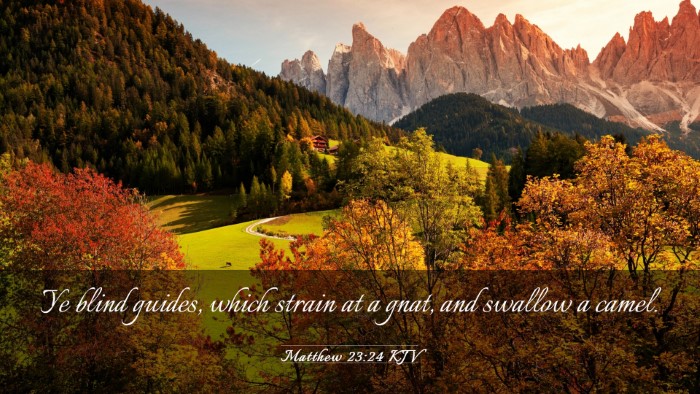 Picture 03 - Matthew 23:24 KJV Desktop Wallpaper - Ye blind guides, which strain at a gnat, and - Desktop Bible Verse Wallpaper