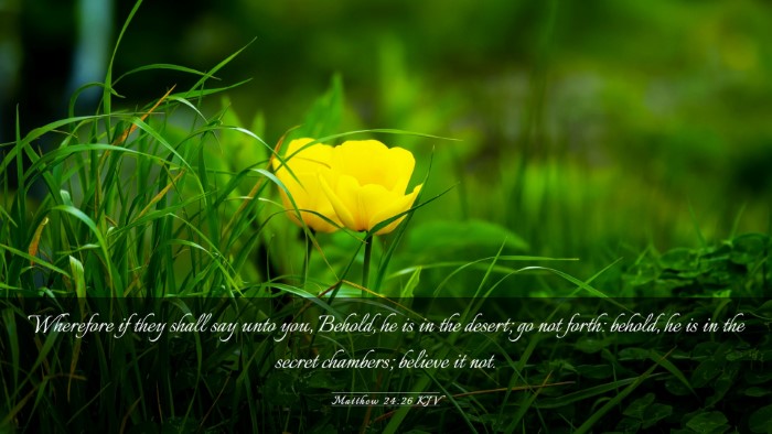 Picture 03 - Matthew 24:26 KJV Desktop Wallpaper - Wherefore if they shall say unto you, Behold, he - Desktop Bible Verse Wallpaper