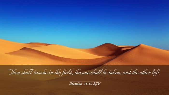Picture 03 - Matthew 24:40 KJV Desktop Wallpaper - Then shall two be in the field; the one shall be - Desktop Bible Verse Wallpaper