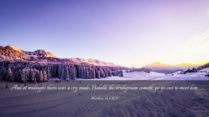 Picture 03 - Matthew 25:6 KJV Desktop Wallpaper - And at midnight there was a cry made, Behold, the - Desktop Bible Verse Wallpaper