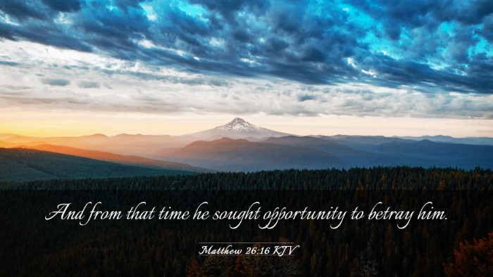 Picture 03 - Matthew 26:16 KJV Desktop Wallpaper - And from that time he sought opportunity to - Desktop Bible Verse Wallpaper