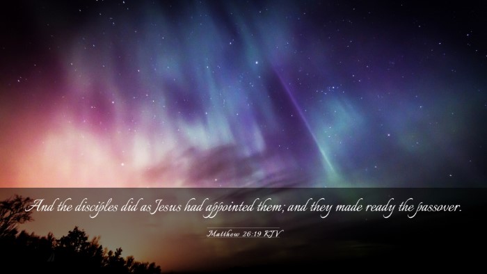 Picture 03 - Matthew 26:19 KJV Desktop Wallpaper - And the disciples did as Jesus had appointed - Desktop Bible Verse Wallpaper