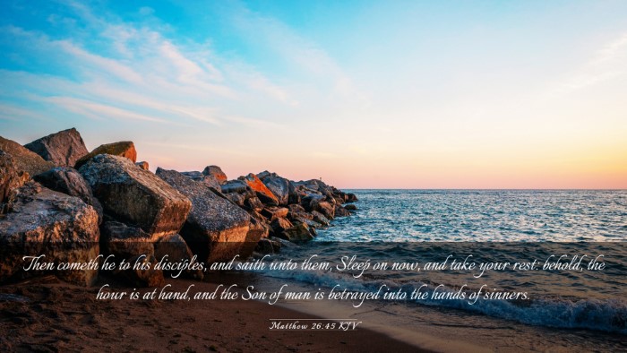 Picture 03 - Matthew 26:45 KJV Desktop Wallpaper - Then cometh he to his disciples, and saith unto - Desktop Bible Verse Wallpaper