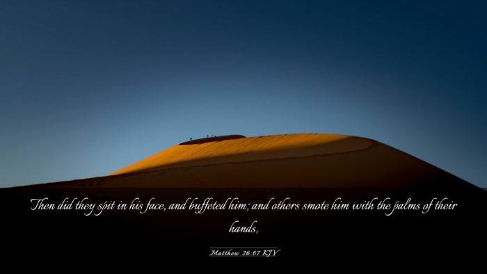 Picture 03 - Matthew 26:67 KJV Desktop Wallpaper - Then did they spit in his face, and buffeted him; - Desktop Bible Verse Wallpaper