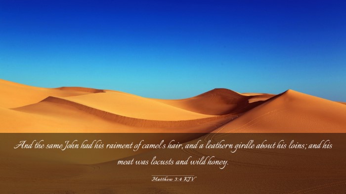 Picture 03 - Matthew 3:4 KJV Desktop Wallpaper - And the same John had his raiment of camel's - Desktop Bible Verse Wallpaper