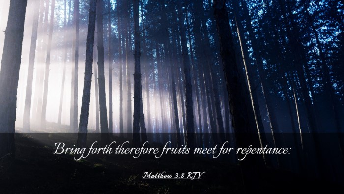 Picture 03 - Matthew 3:8 KJV Desktop Wallpaper - Bring forth therefore fruits meet for - Desktop Bible Verse Wallpaper