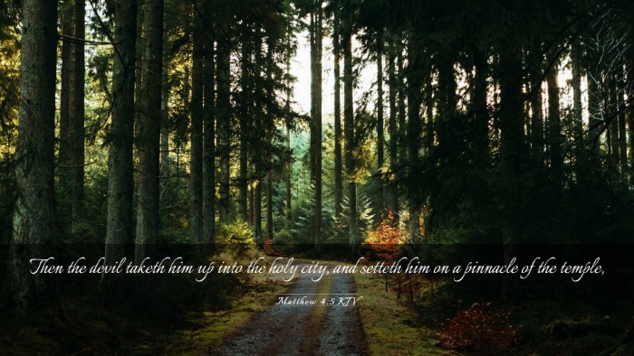 Picture 03 - Matthew 4:5 KJV Desktop Wallpaper - Then the devil taketh him up into the holy city, - Desktop Bible Verse Wallpaper